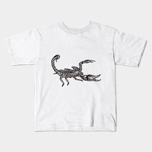 Heterometrus silenus Kids T-Shirt